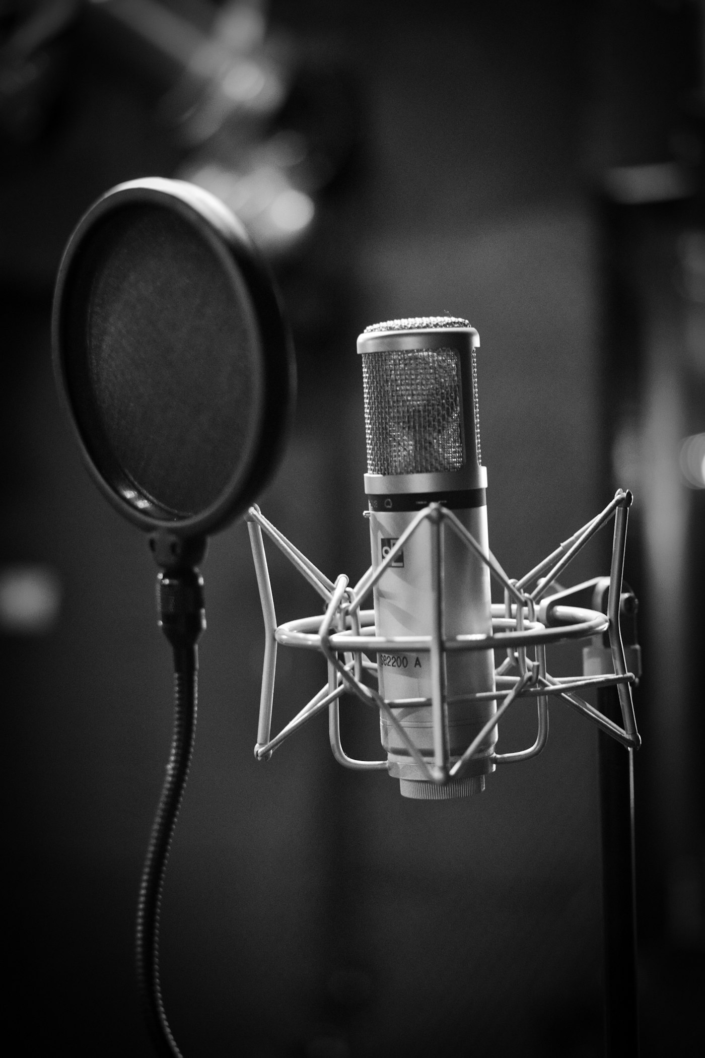 A studio condenser microphone in its shock mount, lit low.